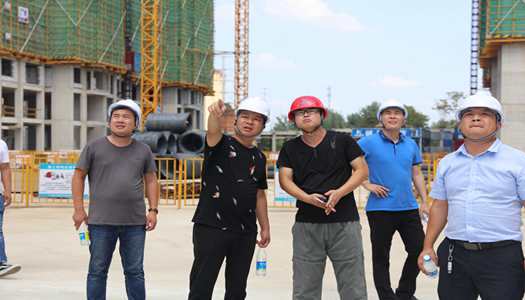 开云电子体育-开云（中国）董事会巡检圆满完成